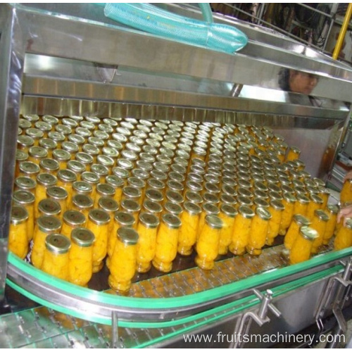 Peach/cucumber canned production line